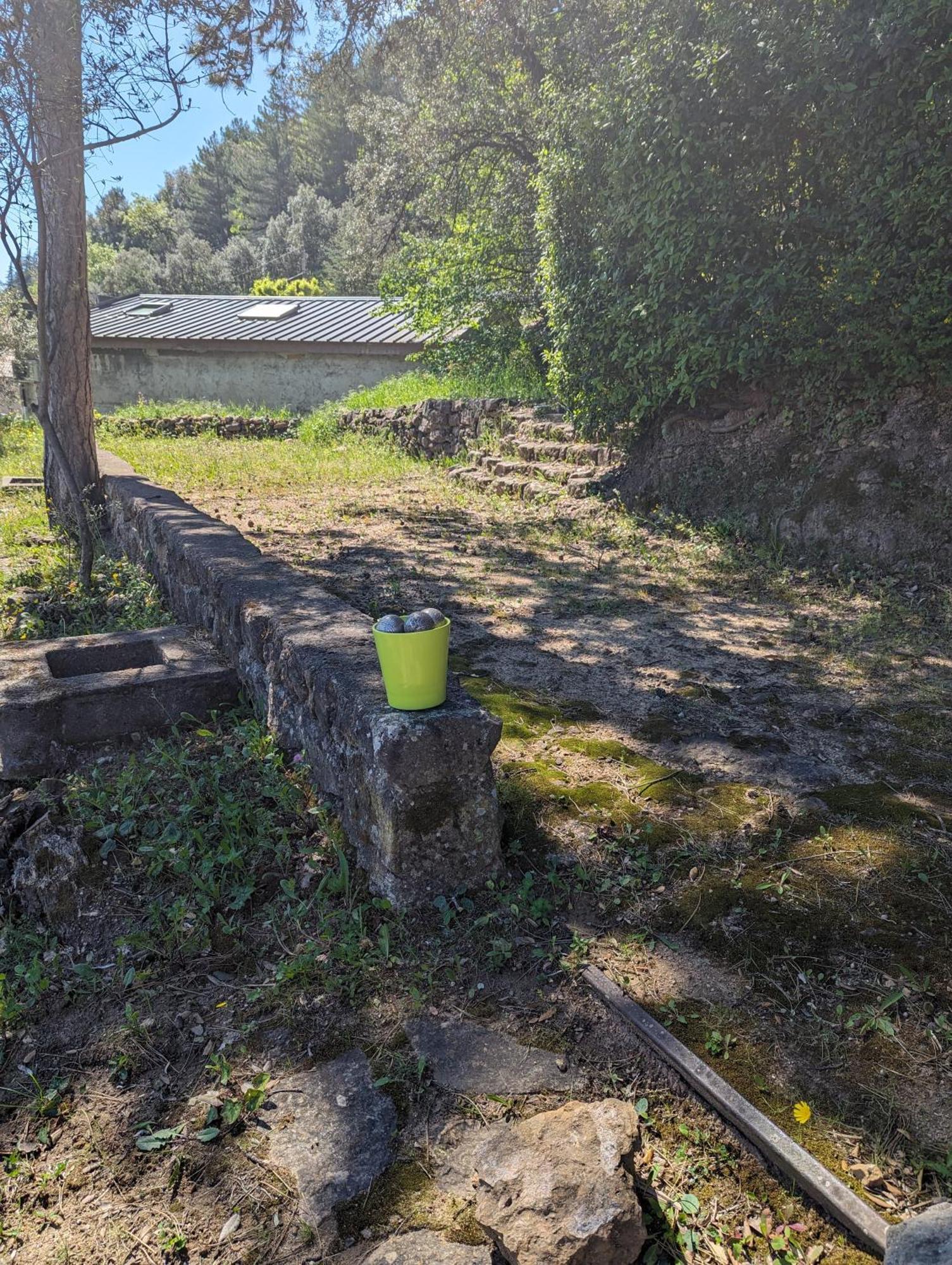 Auberge Des Pins Aubenas Luaran gambar